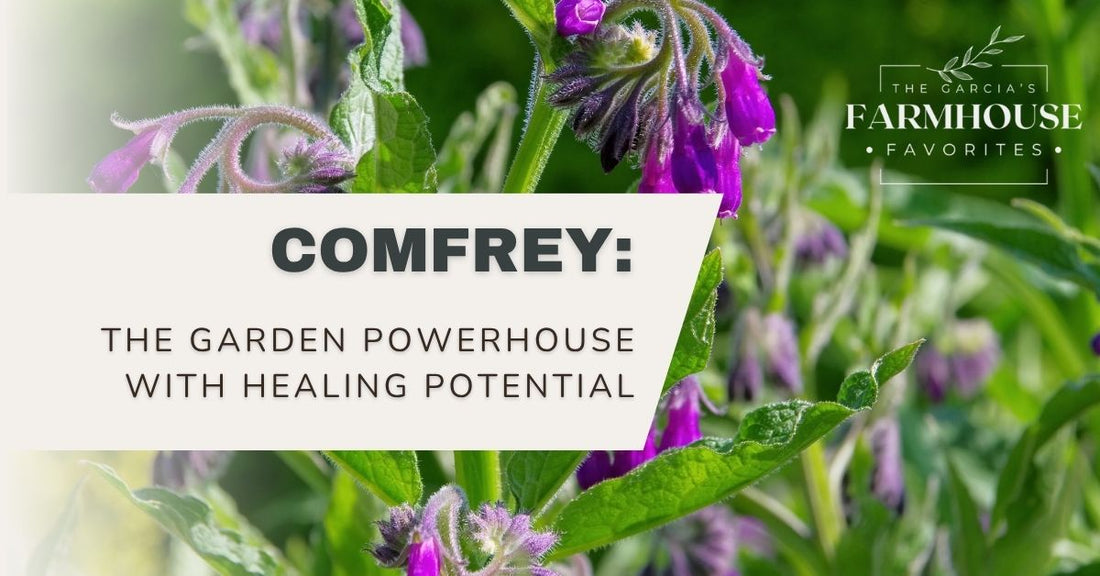 Comfrey: The Garden Powerhouse with Healing Potential